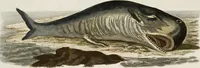 An illustration from (Band 2) (1795)