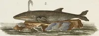 Picture 106 of 173 from (Band 2) (1795), leaf 171