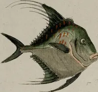 Picture 8 of 173 from (Band 2) (1795), leaf 18