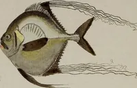 Picture 9 of 173 from (Band 2) (1795), leaf 18