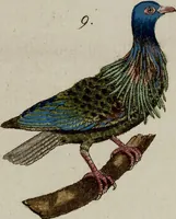 Picture 145 of 173 from (Band 2) (1795), leaf 240