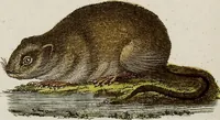 An illustration from (Band 2) (1795)