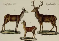 Picture 14 of 173 from (Band 2) (1795), leaf 27