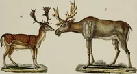 Picture 15 of 173 from (Band 2) (1795), leaf 27