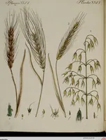 Picture 25 of 173 from (Band 2) (1795), leaf 45