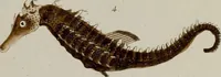 Picture 26 of 173 from (Band 2) (1795), leaf 48