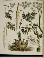 Picture 35 of 173 from (Band 2) (1795), leaf 60