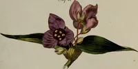Picture 55 of 173 from (Band 2) (1795), leaf 90