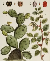 Picture 56 of 173 from (Band 2) (1795), leaf 93