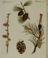 Picture 54 of 161 from (Band 3) (1798), leaf 102