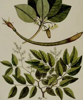 Picture 73 of 161 from (Band 3) (1798), leaf 144