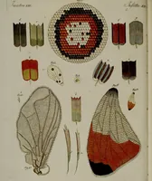 An illustration from (Band 3) (1798)