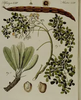 An illustration from (Band 3) (1798)