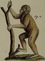 Picture 89 of 161 from (Band 3) (1798), leaf 174