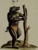 Picture 90 of 161 from (Band 3) (1798), leaf 174