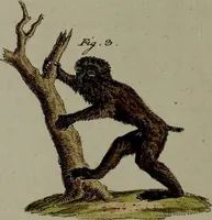Picture 91 of 161 from (Band 3) (1798), leaf 174