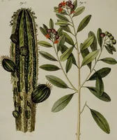 Picture 96 of 161 from (Band 3) (1798), leaf 186