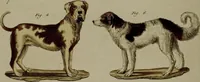 Picture 99 of 161 from (Band 3) (1798), leaf 192