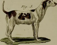 Picture 102 of 161 from (Band 3) (1798), leaf 192