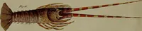 Picture 104 of 161 from (Band 3) (1798), leaf 198