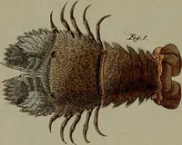 Picture 105 of 161 from (Band 3) (1798), leaf 198