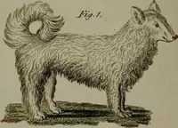 Picture 107 of 161 from (Band 3) (1798), leaf 204