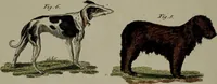 An illustration from (Band 3) (1798)
