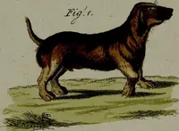 An illustration from (Band 3) (1798)