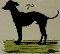 Picture 114 of 161 from (Band 3) (1798), leaf 216