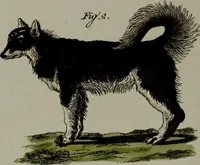 Picture 125 of 161 from (Band 3) (1798), leaf 233