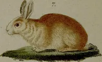 Picture 9 of 161 from (Band 3) (1798), leaf 24