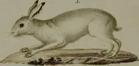 Picture 10 of 161 from (Band 3) (1798), leaf 24