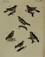 Picture 130 of 161 from (Band 3) (1798), leaf 245