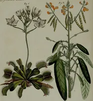 Picture 131 of 161 from (Band 3) (1798), leaf 248