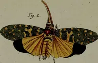 Picture 133 of 161 from (Band 3) (1798), leaf 254