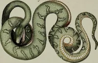 Picture 135 of 161 from (Band 3) (1798), leaf 257