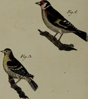 Picture 137 of 161 from (Band 3) (1798), leaf 260