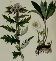 Picture 150 of 161 from (Band 3) (1798), leaf 278