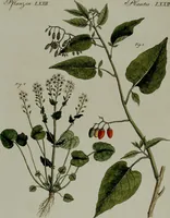 Picture 151 of 161 from (Band 3) (1798), leaf 281