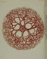 Picture 152 of 161 from (Band 3) (1798), leaf 284