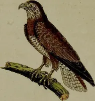 Picture 157 of 161 from (Band 3) (1798), leaf 290