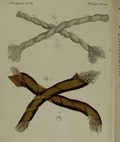 Picture 161 of 161 from (Band 3) (1798), leaf 302
