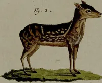 An illustration from (Band 3) (1798)