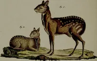 An illustration from (Band 3) (1798)