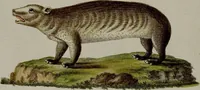 An illustration from (Band 3) (1798)