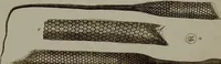 Picture 25 of 161 from (Band 3) (1798), leaf 51