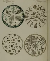 Picture 29 of 161 from (Band 3) (1798), leaf 63