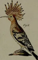 An illustration from (Band 3) (1798)