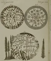 Picture 40 of 161 from (Band 3) (1798), leaf 78