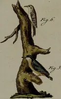 Picture 43 of 161 from (Band 3) (1798), leaf 84